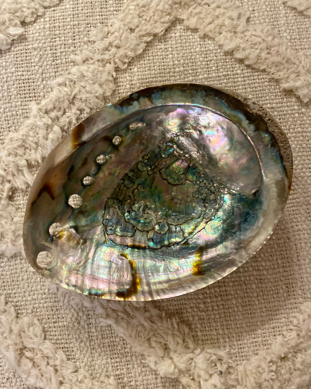 Abalone Shell Trinket Bowl